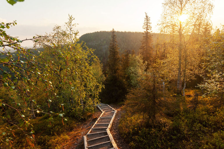Home forest at the bottom – Valtavaara, Kuusamo.