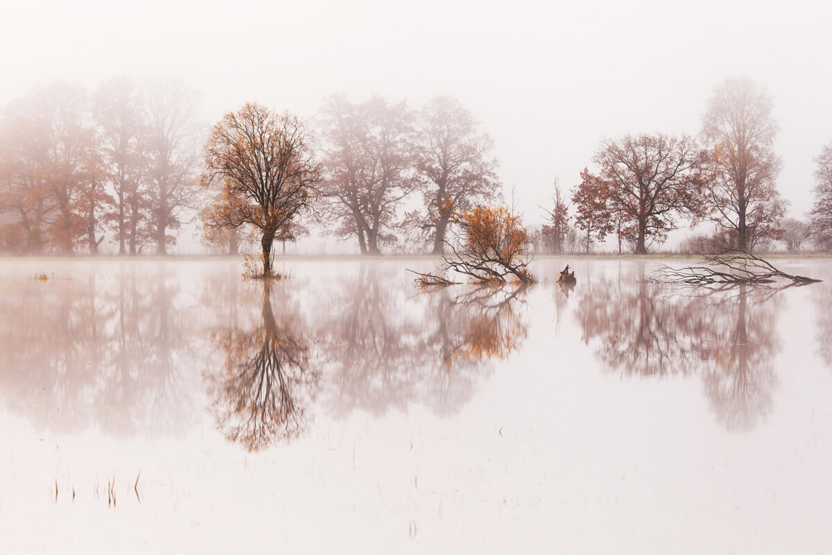 Autumn floods in Soomaa