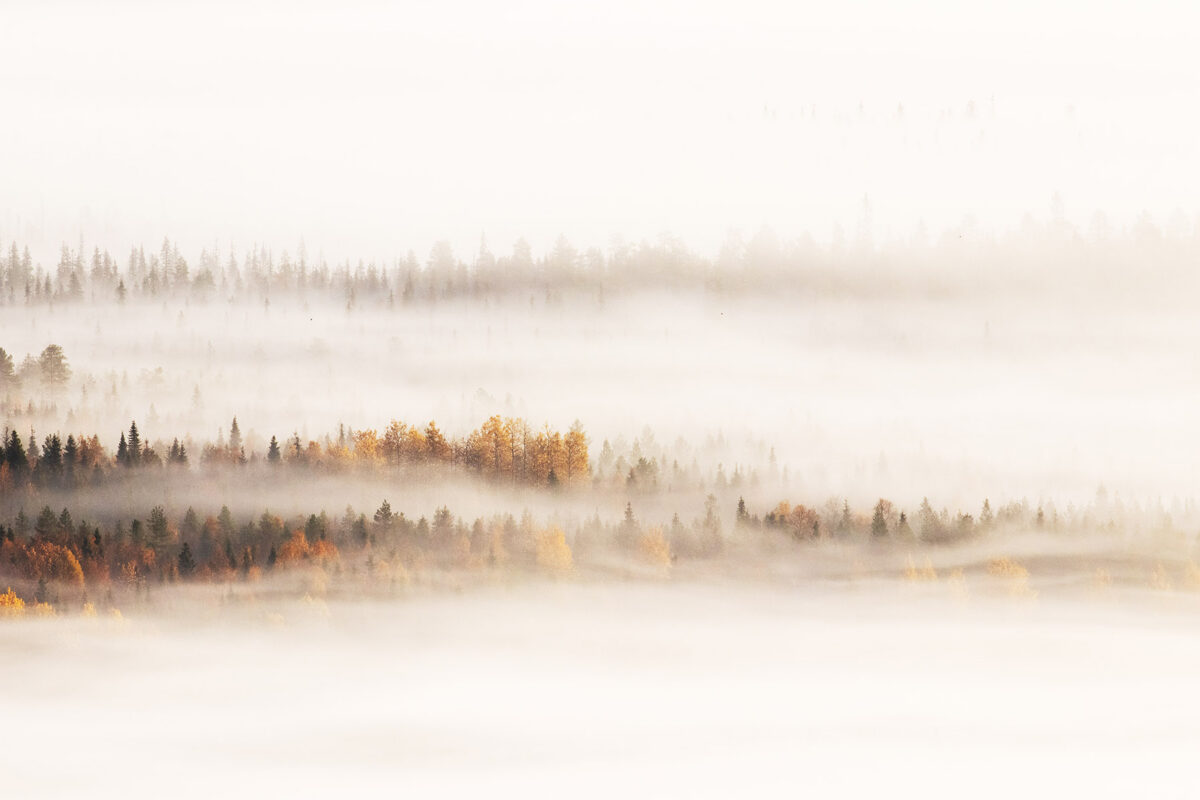 Hidden Autumn