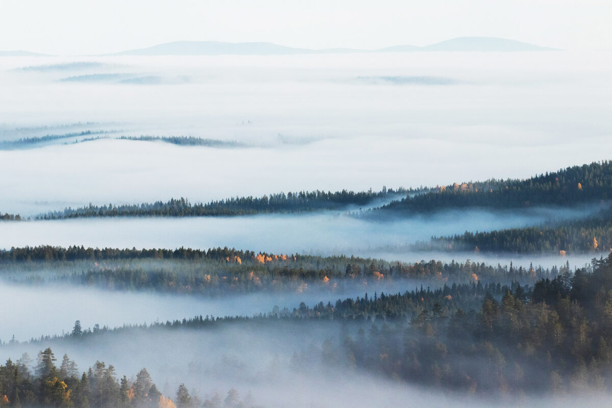 Nordic layers